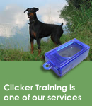 Dog Clicker Training Graphic